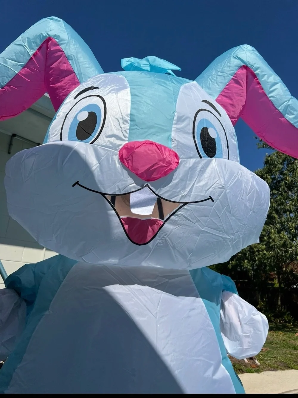 Inflatable blue bunny costume